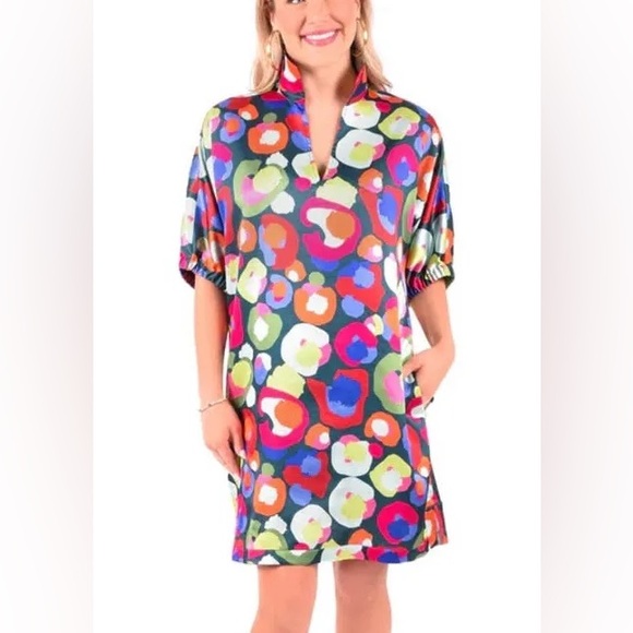 Emily Mccarthy Dresses & Skirts - NWT Emily McCarthy Poppy Dress in Winter Pop Cheetah